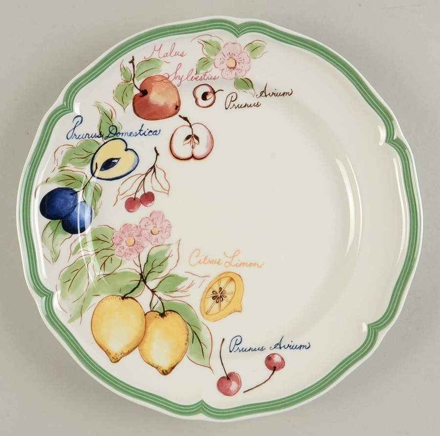 French Garden Fleurence Accent Dinner Plate by Villeroy & Boch-1