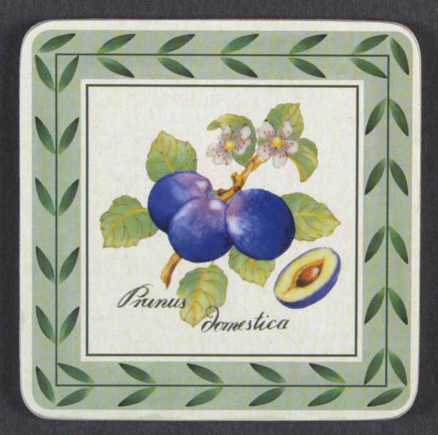 French Garden Fleurence Square Corkback Coaster by Villeroy & Boch-1