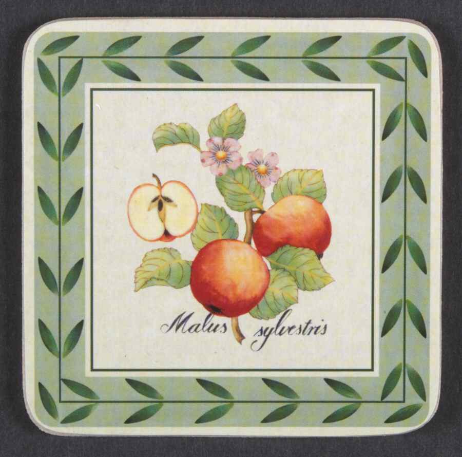 French Garden Fleurence Square Corkback Coaster by Villeroy & Boch-1