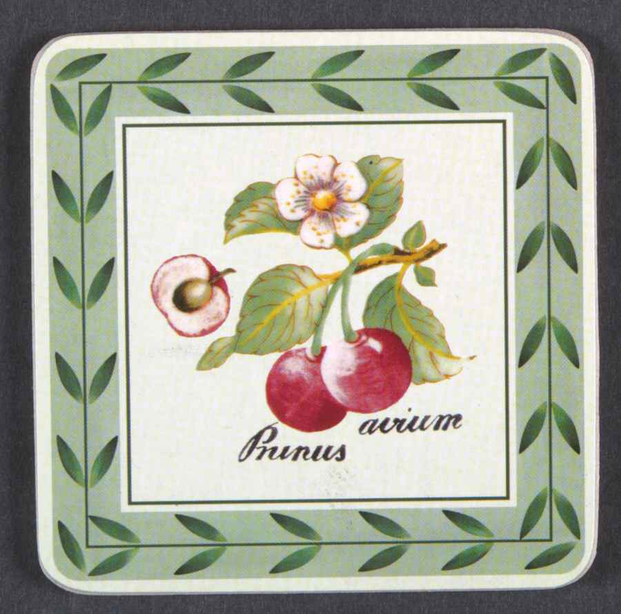 French Garden Fleurence Square Corkback Coaster by Villeroy & Boch-1