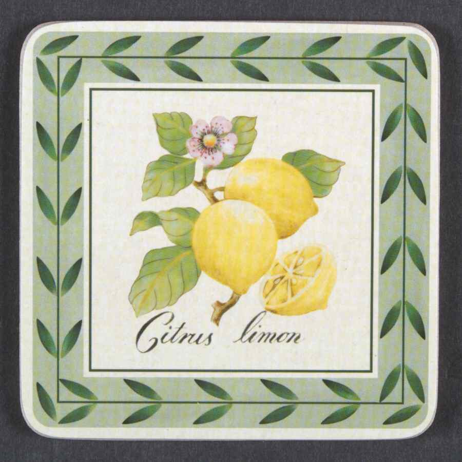 French Garden Fleurence Square Corkback Coaster by Villeroy & Boch-1