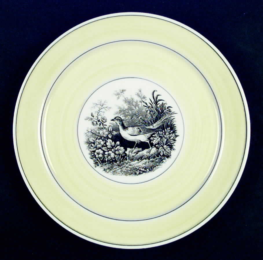 India Luncheon Plate by Villeroy & Boch-1