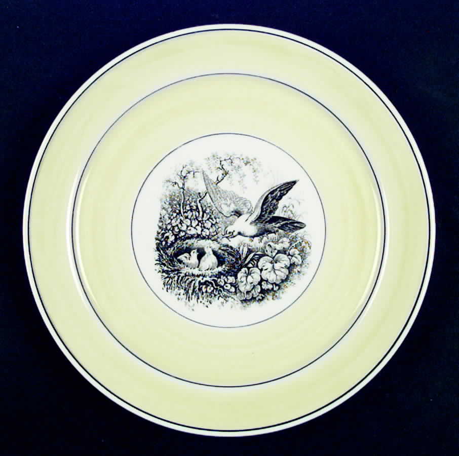 India Luncheon Plate by Villeroy & Boch-1