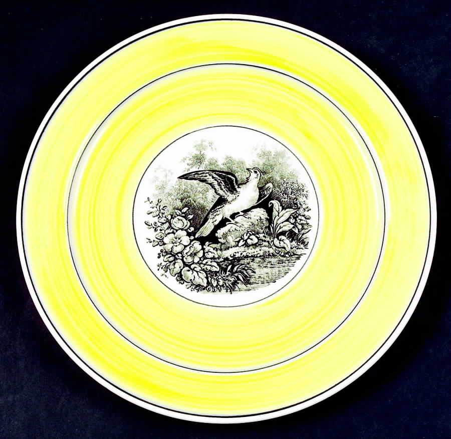 India Luncheon Plate by Villeroy & Boch-1
