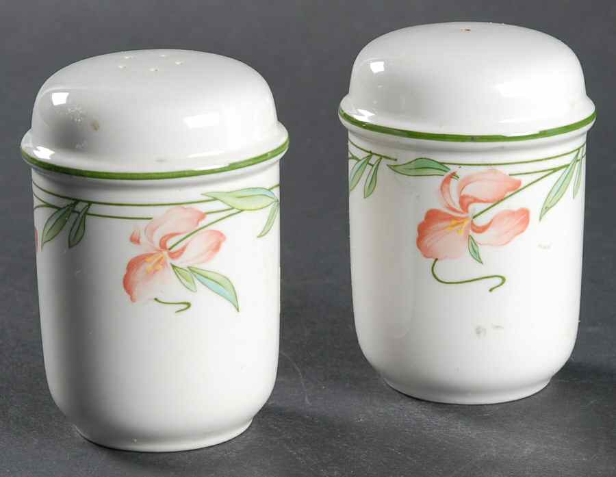 Miami Salt & Pepper Set by Villeroy & Boch-1