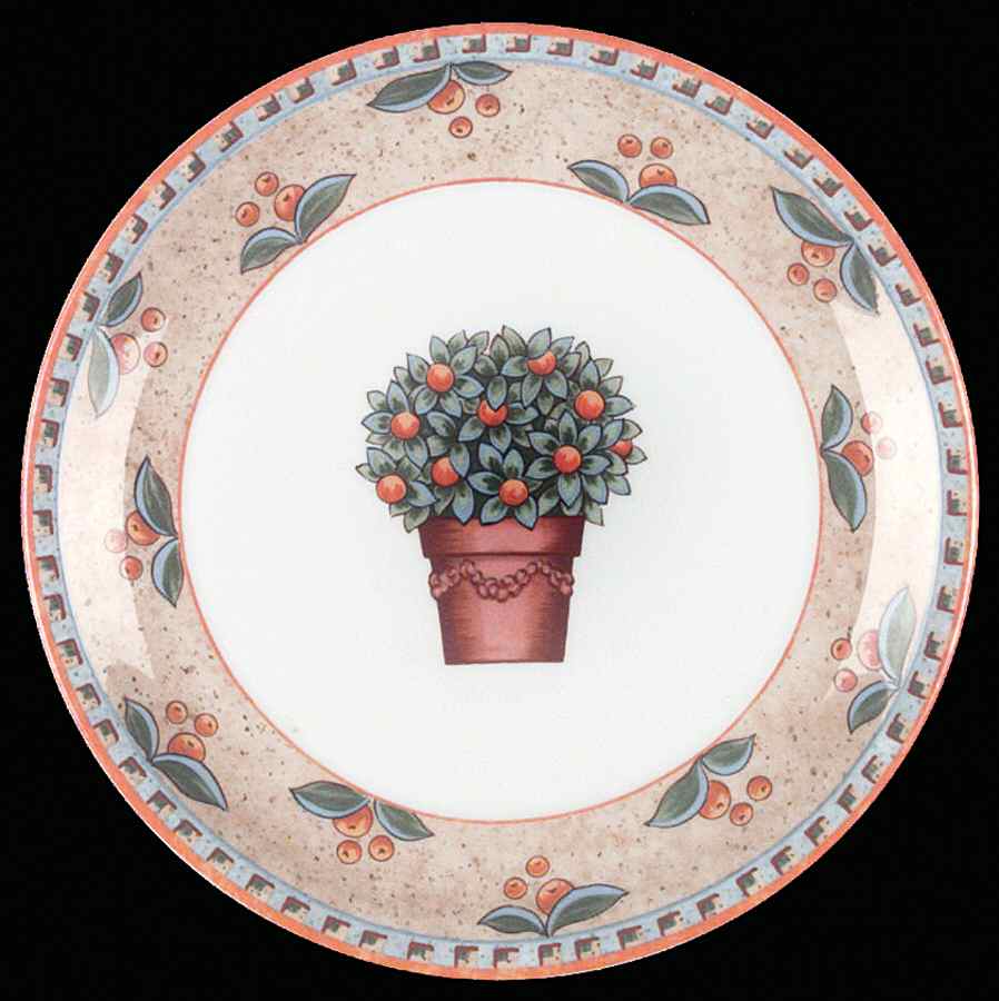 Naranja Salad Plate by Villeroy & Boch-1