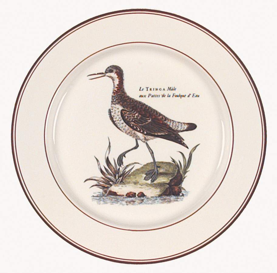 Paradiso (Brown Trim & Band) Salad Plate by Villeroy & Boch-1