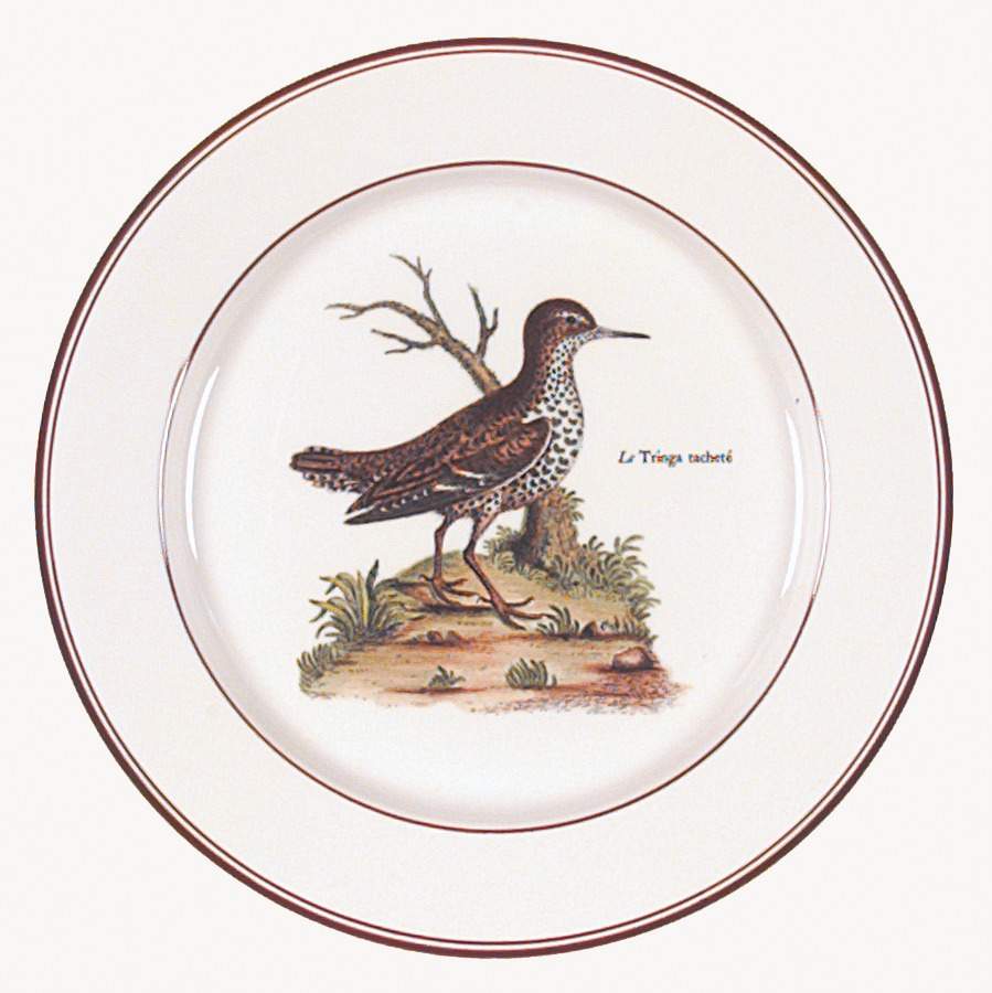 Paradiso (Brown Trim & Band) Salad Plate by Villeroy & Boch-1