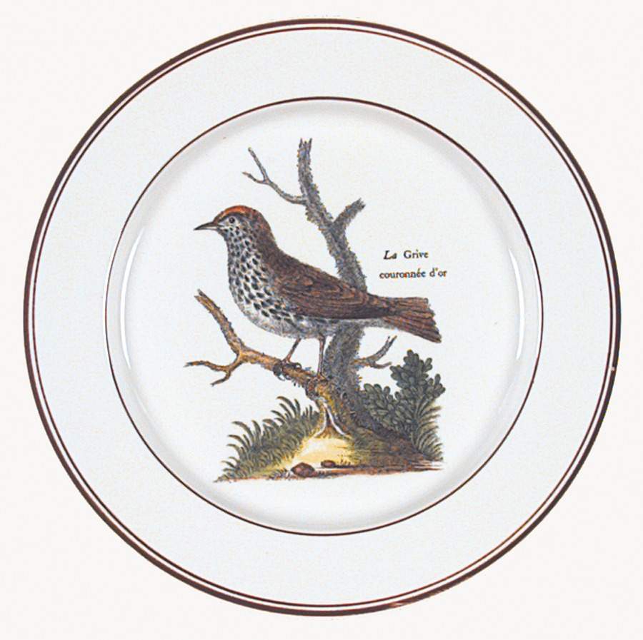 Paradiso (Brown Trim & Band) Salad Plate by Villeroy & Boch-1