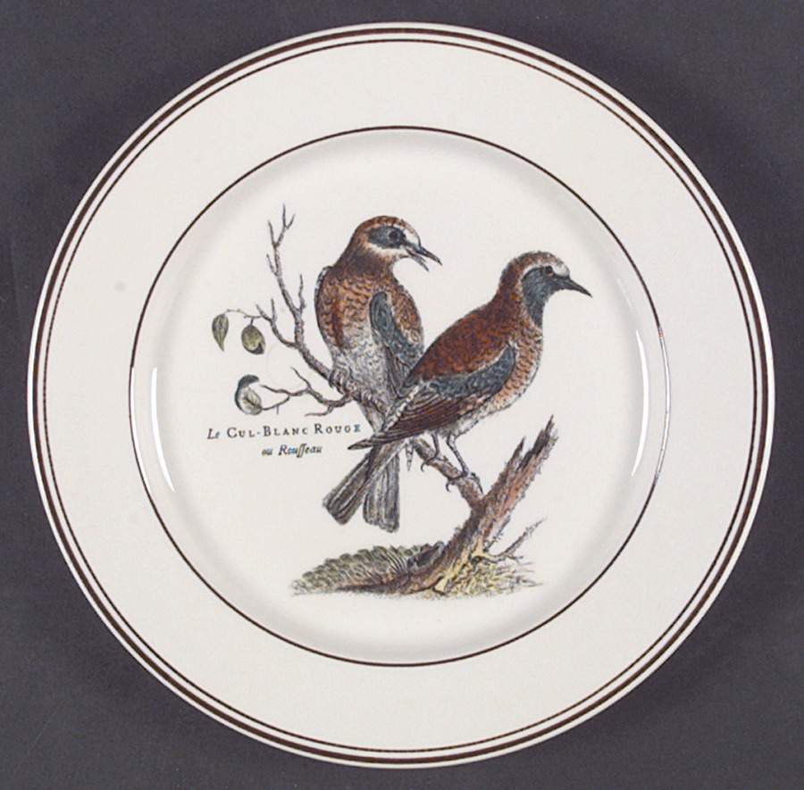 Paradiso (Brown Trim & Band) Salad Plate by Villeroy & Boch-1