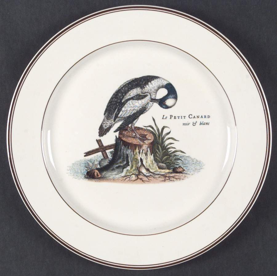 Paradiso (Brown Trim & Band) Dinner Plate by Villeroy & Boch-1
