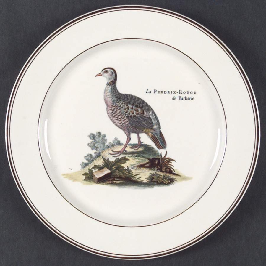Paradiso (Brown Trim & Band) Dinner Plate by Villeroy & Boch-1