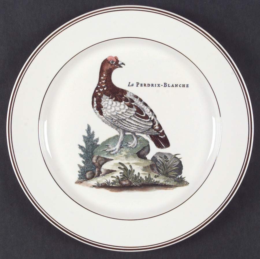 Paradiso (Brown Trim & Band) Dinner Plate by Villeroy & Boch-1