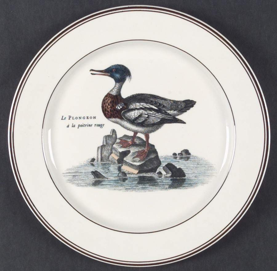 Paradiso (Brown Trim & Band) Dinner Plate by Villeroy & Boch-1