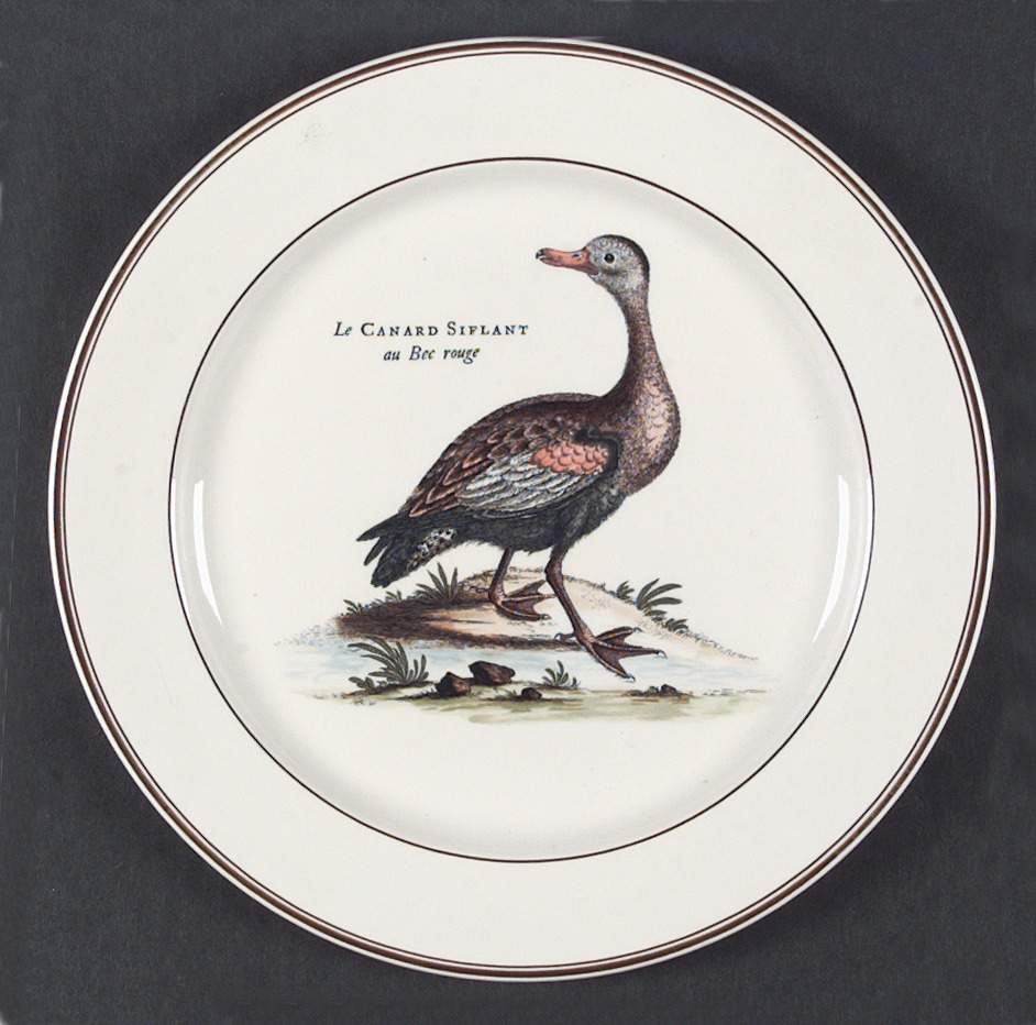 Paradiso (Brown Trim & Band) Dinner Plate by Villeroy & Boch-1