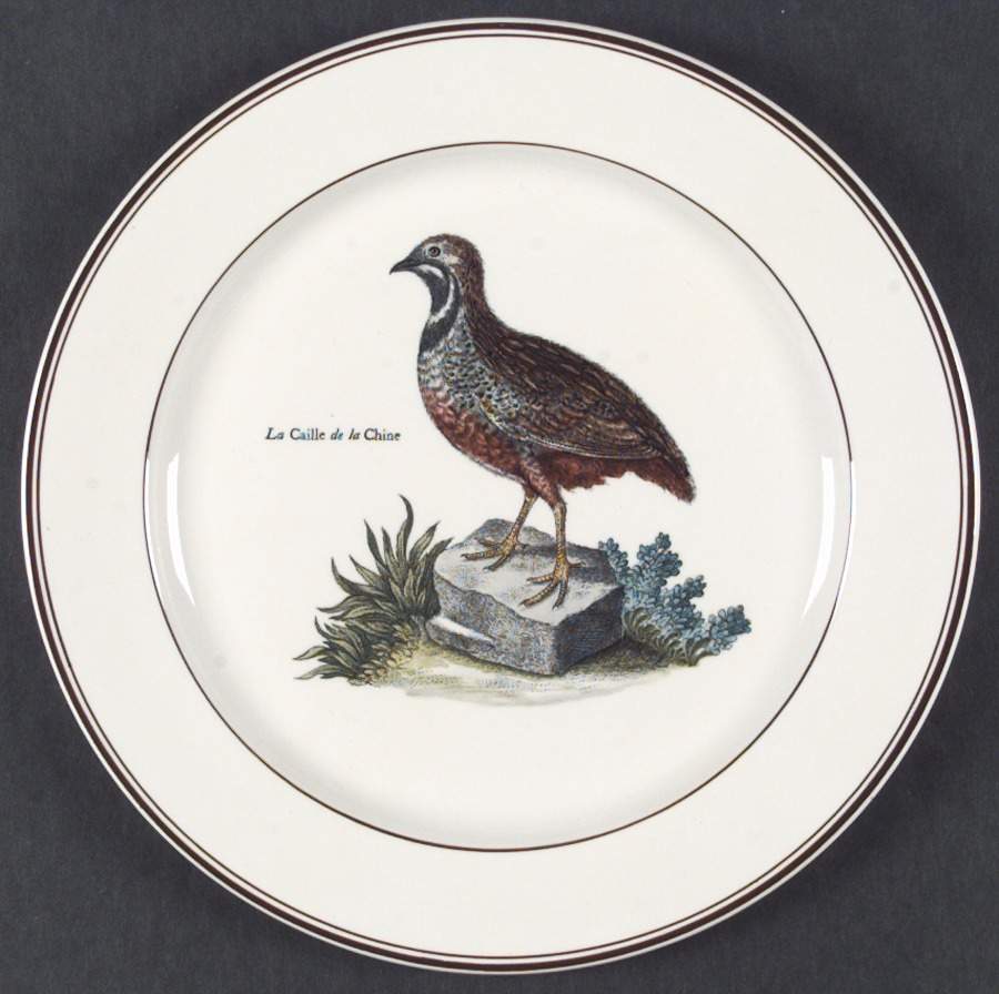 Paradiso (Brown Trim & Band) Dinner Plate by Villeroy & Boch-1