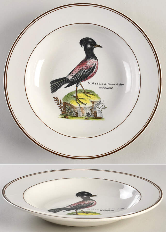 Paradiso (Brown Trim & Band) Rim Soup Bowl by Villeroy & Boch-1