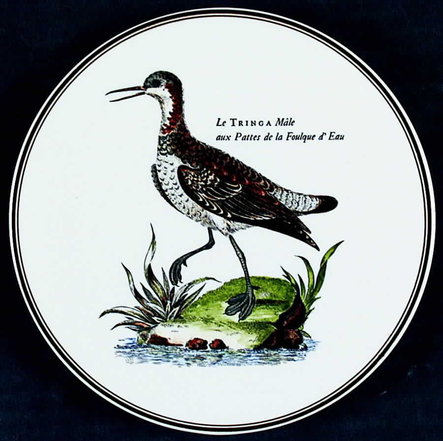 Paradiso (Brown Trim & Band) Tea Tile by Villeroy & Boch-1