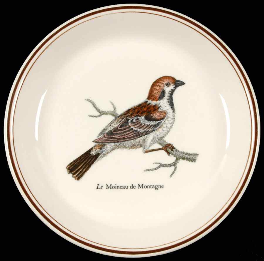 Paradiso (Brown Trim & Band) Coaster by Villeroy & Boch-1