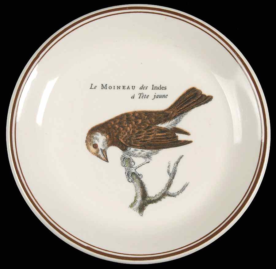 Paradiso (Brown Trim & Band) Coaster by Villeroy & Boch-1
