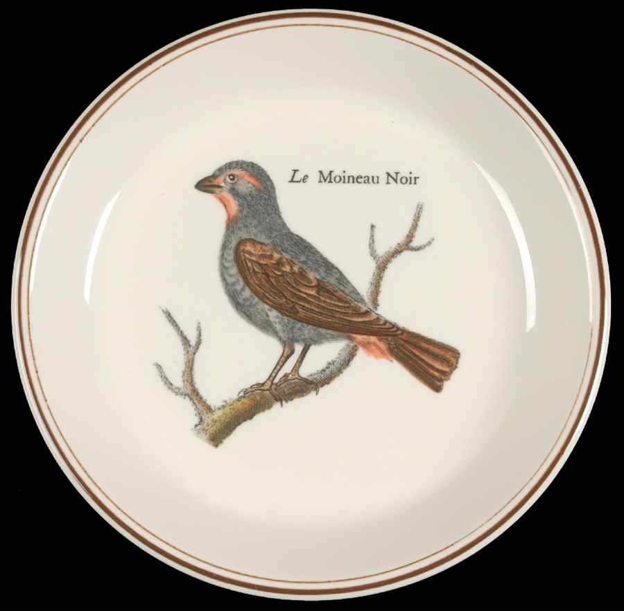 Paradiso (Brown Trim & Band) Wine Bottle Coaster by Villeroy & Boch-1