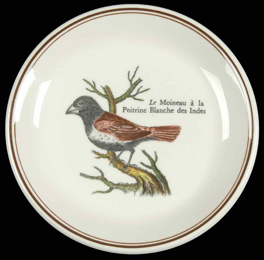 Paradiso (Brown Trim & Band) Coaster by Villeroy & Boch-1