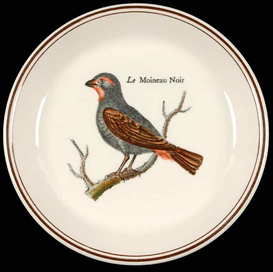 Paradiso (Brown Trim & Band) Coaster by Villeroy & Boch-1