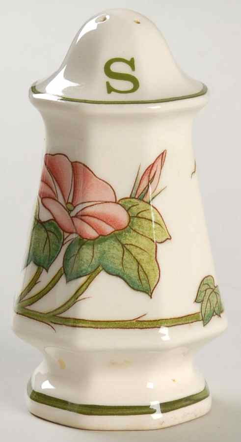 Piccadilly Salt Shaker by Villeroy & Boch-1