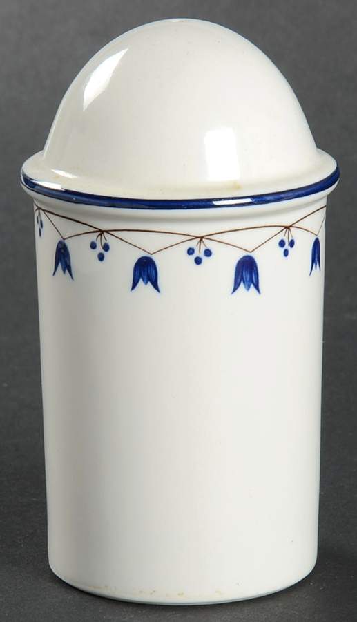 Salzburg Salt Shaker by Villeroy & Boch-1