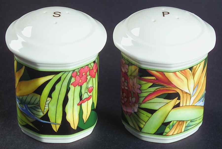 Serengeti Salt & Pepper Set by Villeroy & Boch-1
