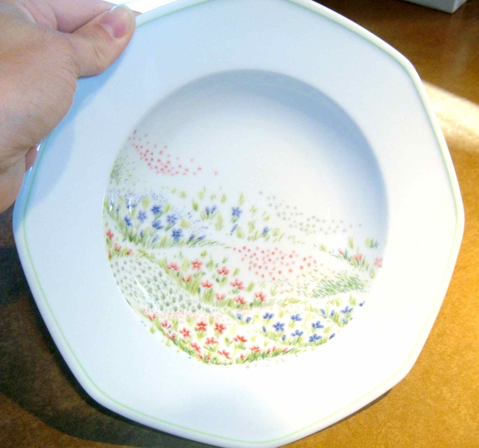 Springfield Rim Soup Bowl by Villeroy & Boch-1