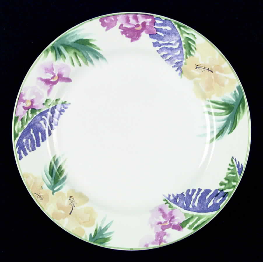 Samba Dinner Plate by Vitromaster-1