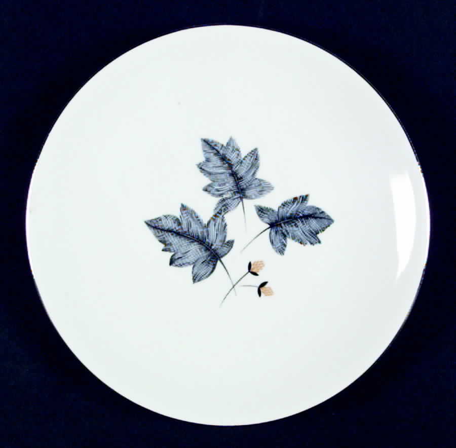 High Sierra Salad Plate by Victoria (Germany)-1