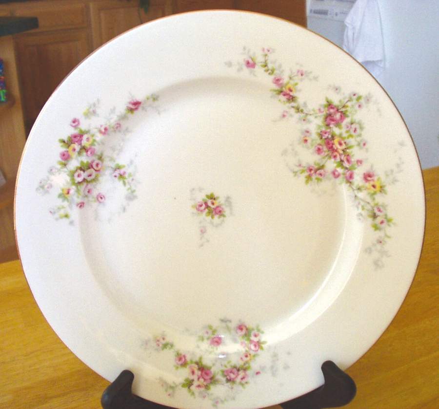 294 Dinner Plate by Victoria (Czech)-1