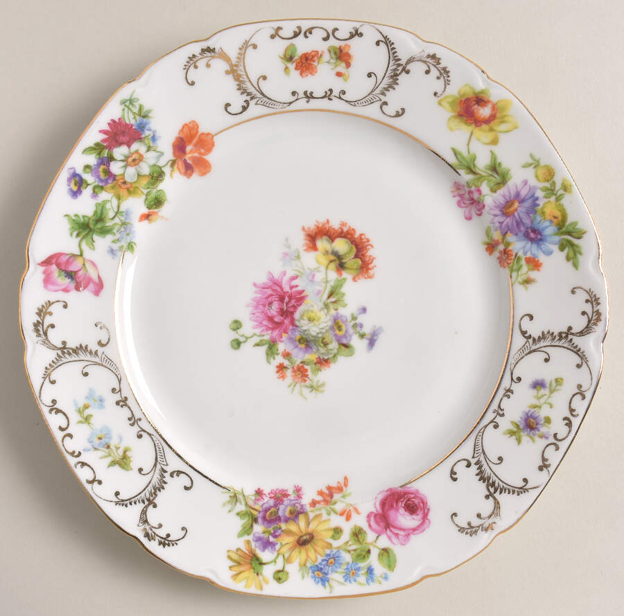 VIT21 (CZECH) Dinner Plate by Victoria (Czech)-1