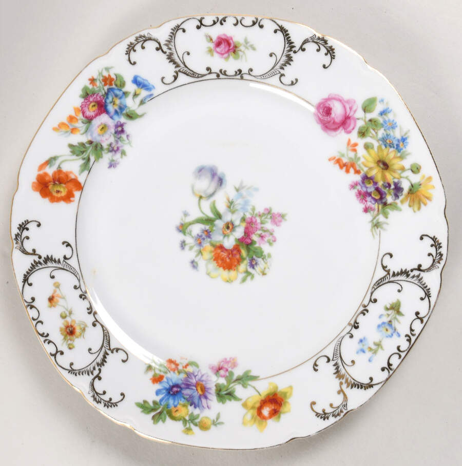 VIT21 (CZECH) Dinner Plate by Victoria (Czech)-1