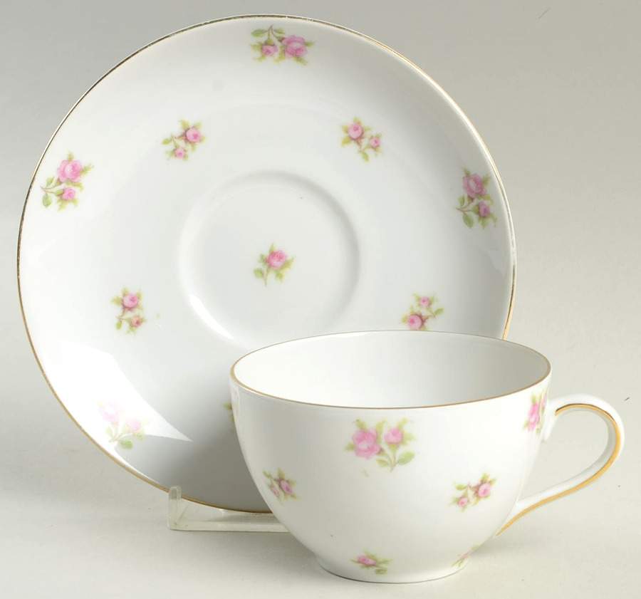 VIT22 Flat Cup & Saucer Set by Victoria (Czech)-1