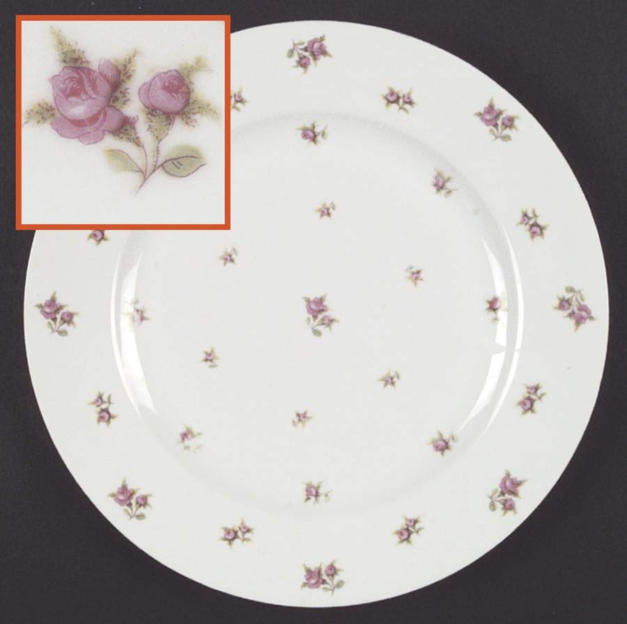 VIT22 Dinner Plate by Victoria (Czech)-1