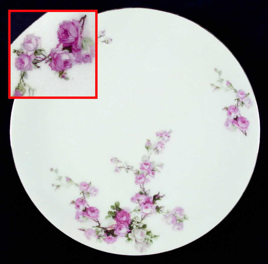 VIT30 Dinner Plate by Victoria (Czech)-1