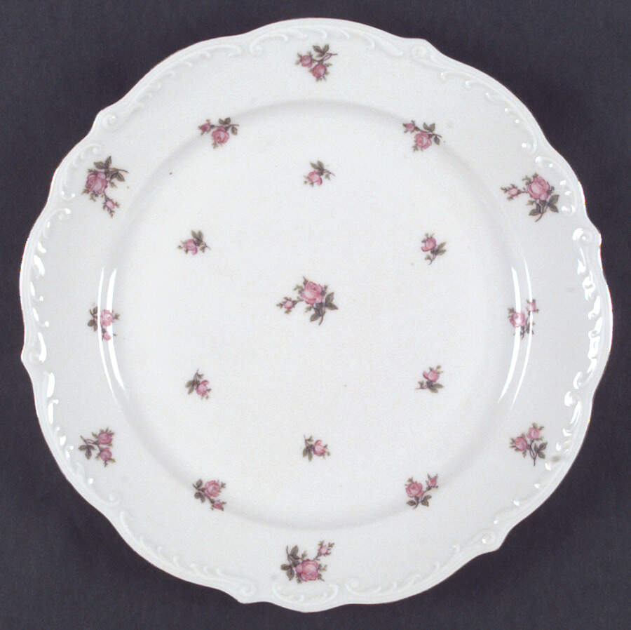 VIT37 (CZECH) Dinner Plate by Victoria (Czech)-1