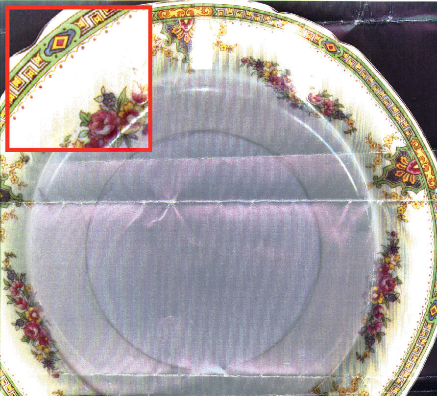 VIT40 Dinner Plate by Victoria (Czech)-1
