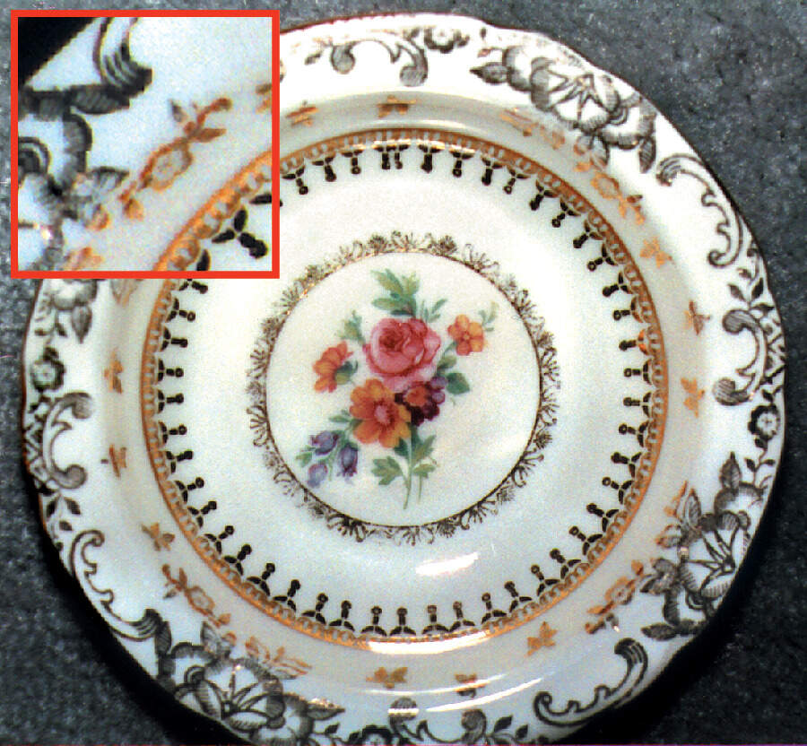 VIT52 Dinner Plate by Victoria (Czech)-1