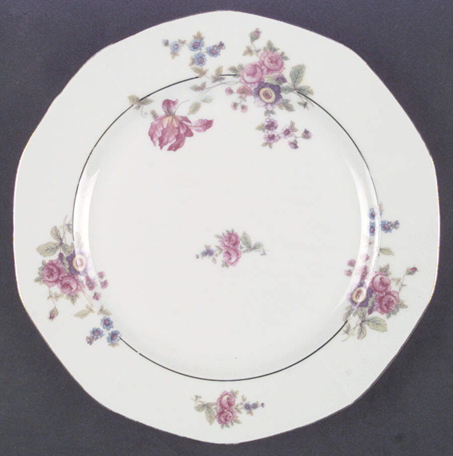 VIT55 Dinner Plate by Victoria (Czech)-1
