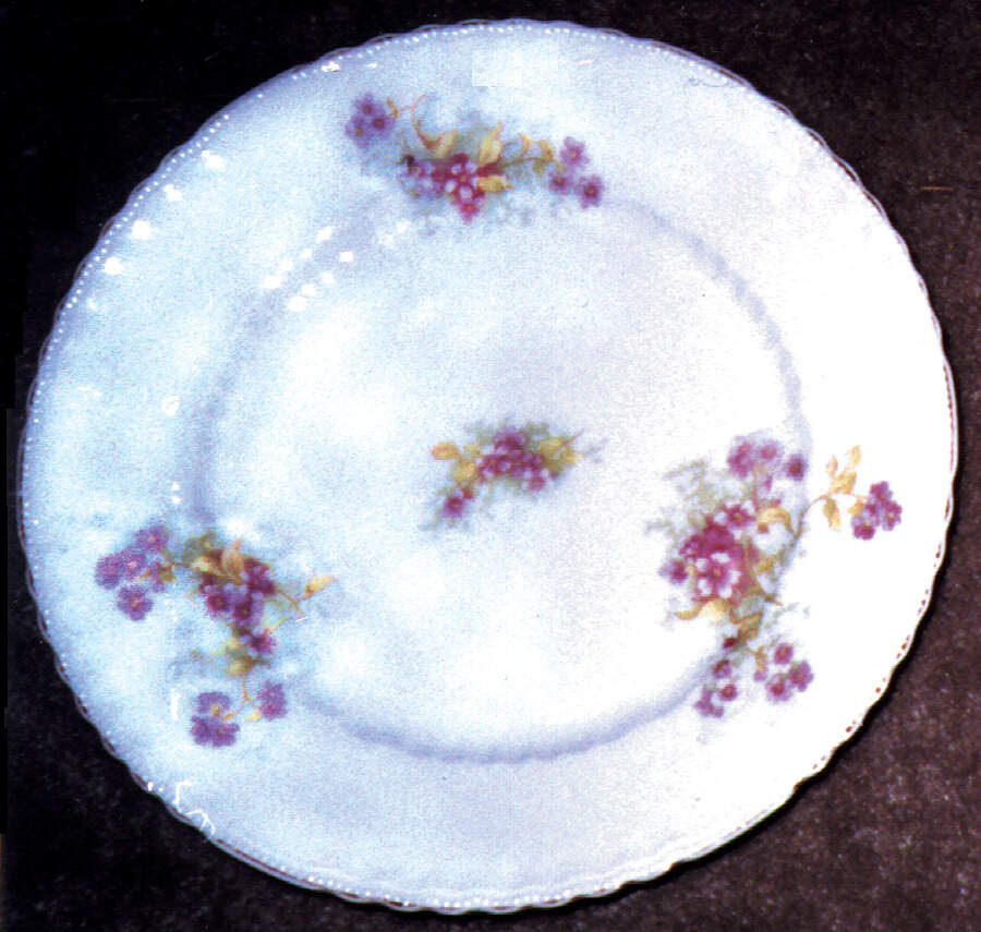 VIT63 Dinner Plate by Victoria (Czech)-1