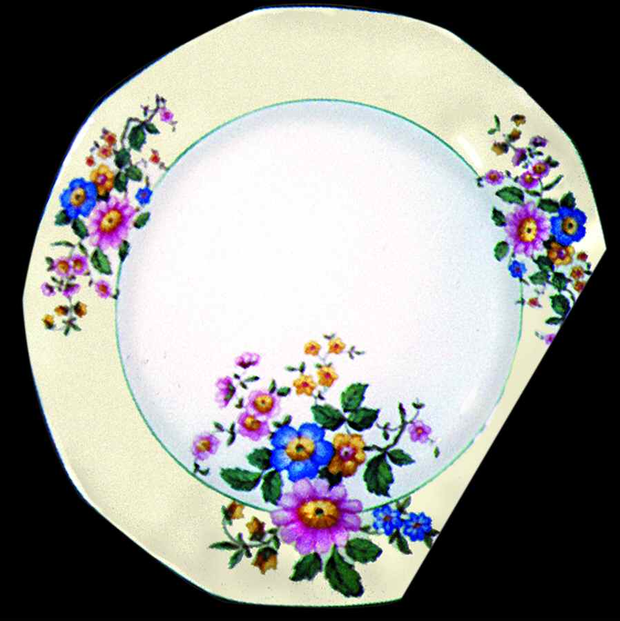 VIT81 Dinner Plate by Victoria (Czech)-1