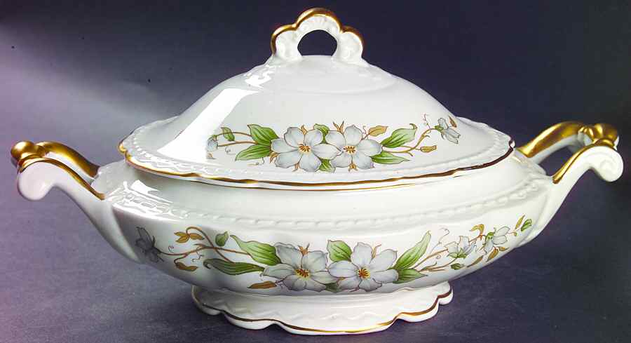 Arcadia Oval Covered Vegetable by Vogue-1
