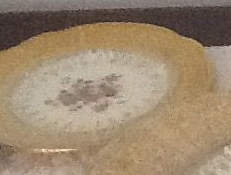 VOG8 Bread & Butter Plate by Vogue-1
