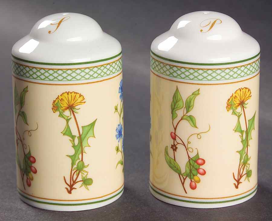 Eden Salt & Pepper Set by Villeroy & Boch-1