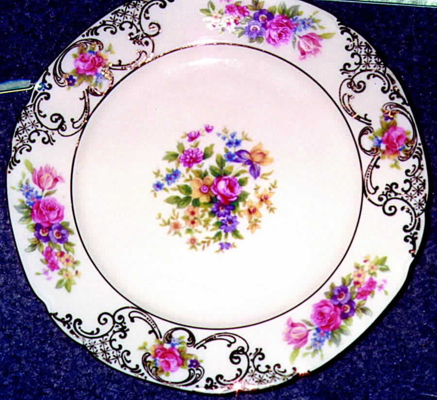 VIT117 Dinner Plate by Victoria (Czech)-1