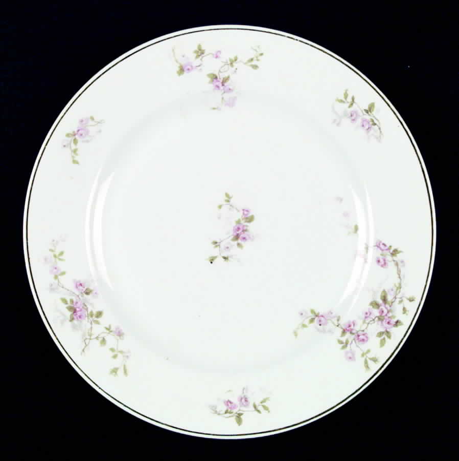 VIT123 Dinner Plate by Victoria (Czech)-1